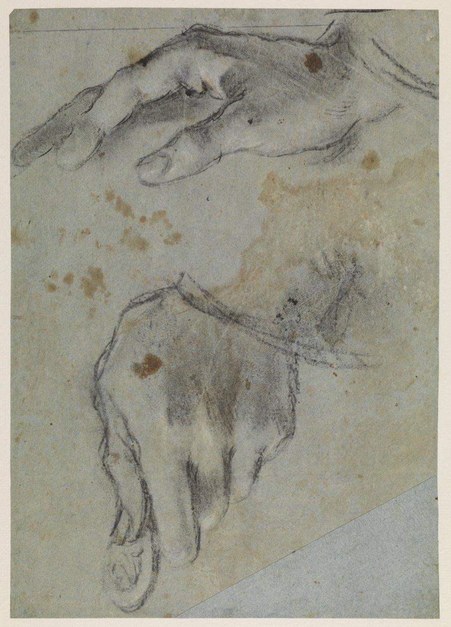Études de mains, recto, 16e siècle - Jacopo Bassano