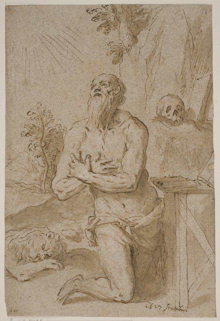 Saint Jérôme dans le désert - Jacopo Palma
