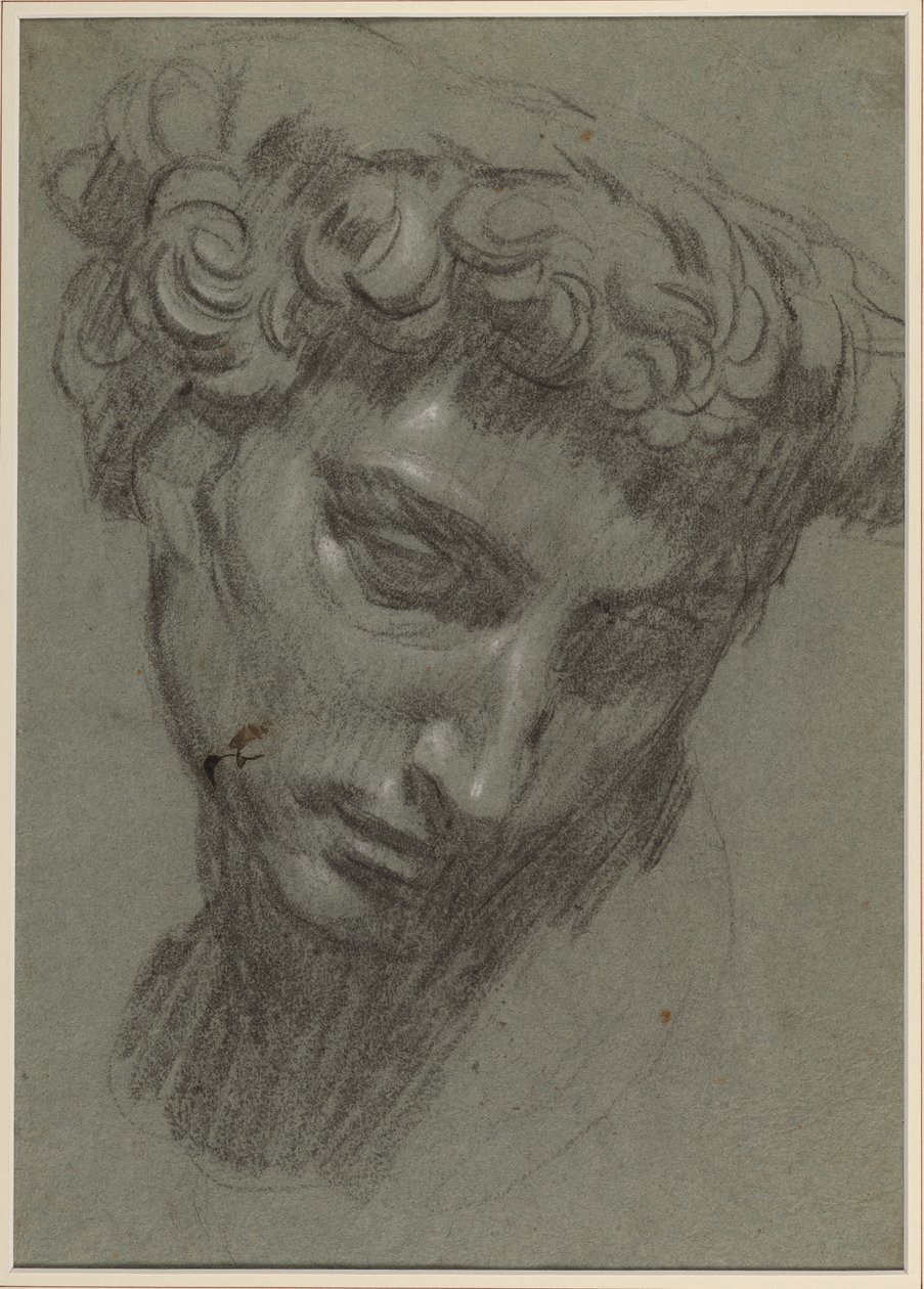 Portrait de Giuliano de’ Medici, d