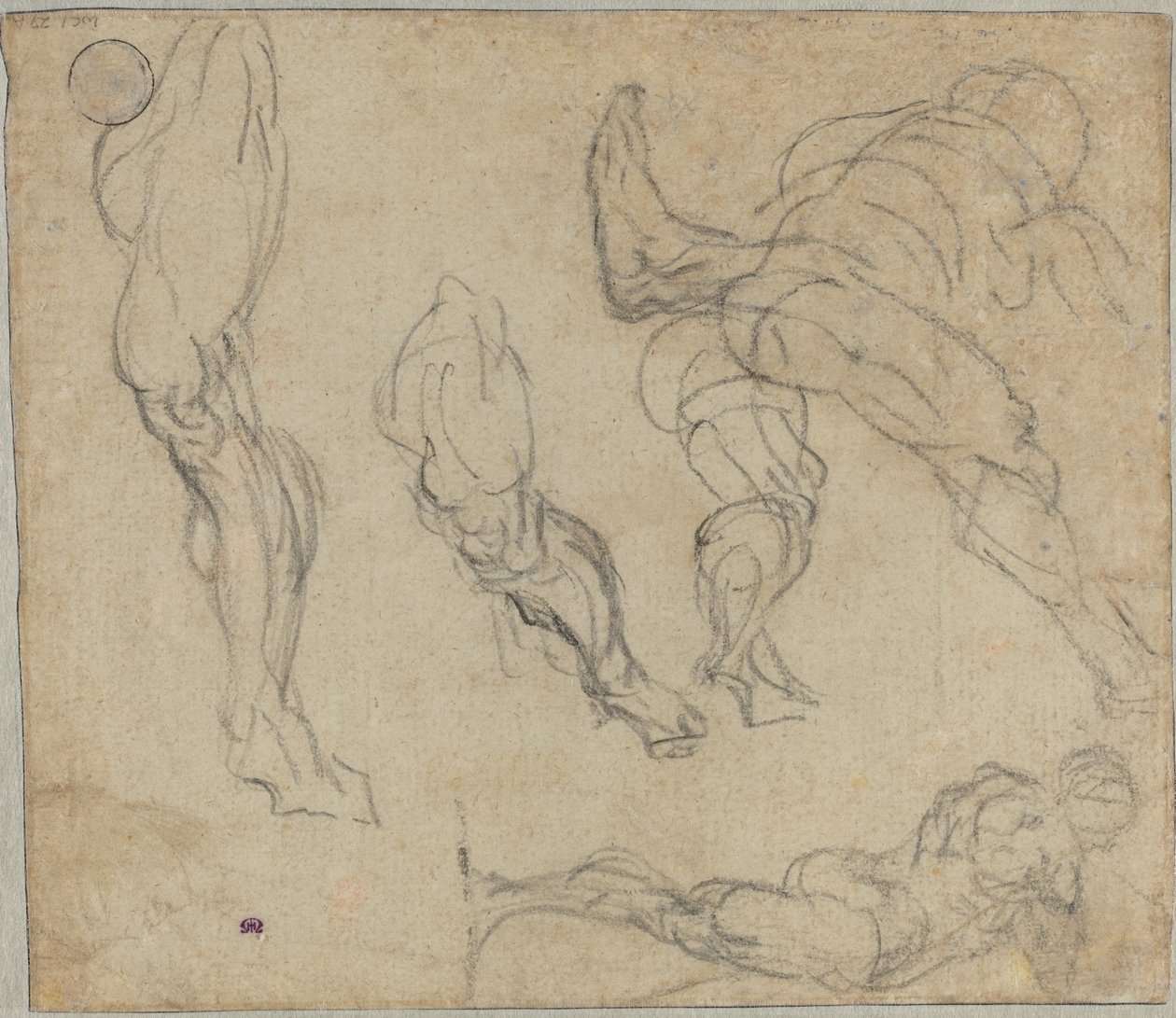 Figures et jambes - Jacopo Robusti Tintoretto