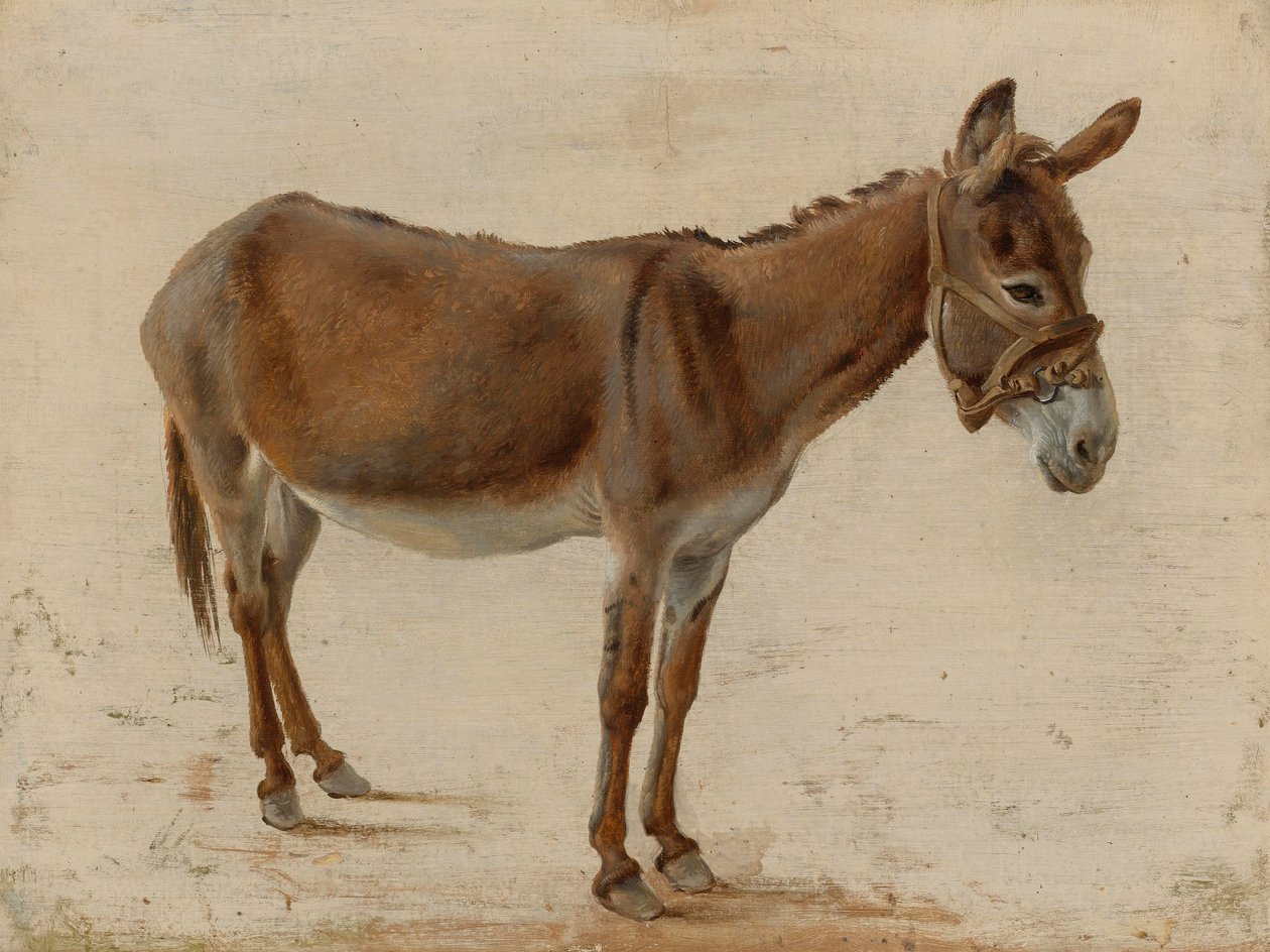 Un âne - Jacques Laurent Agasse