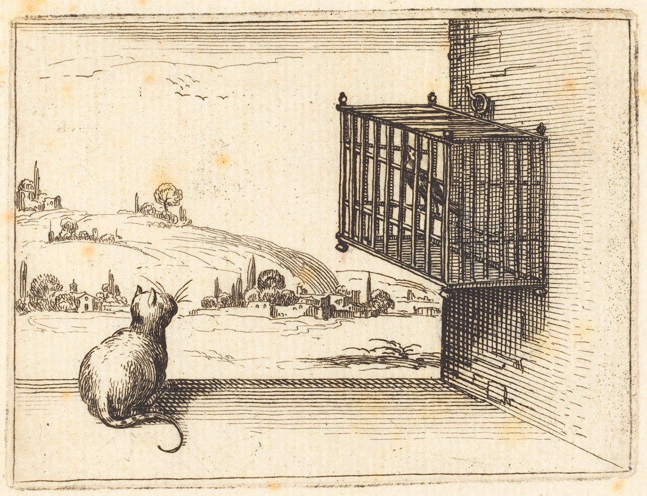 Un chat observant un oiseau en cage - Jacques Callot