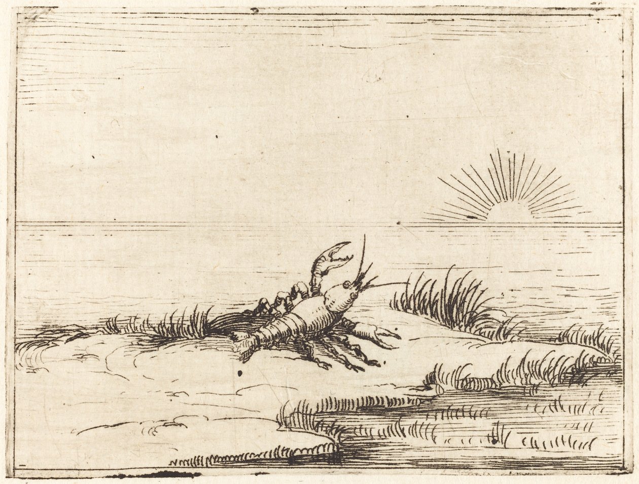 Écrevisse regardant le soleil - Jacques Callot