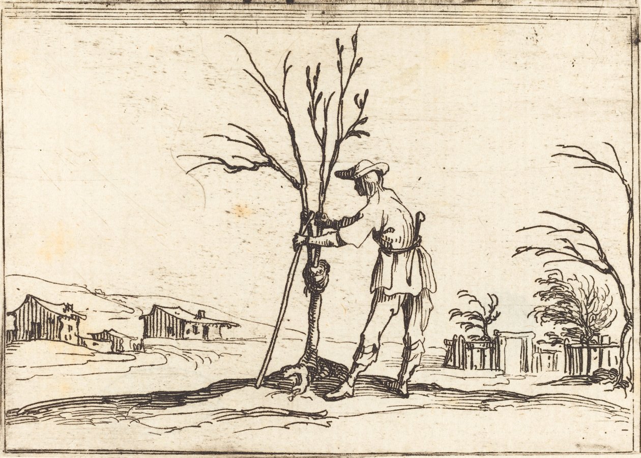 Jardinier taillant un arbre - Jacques Callot