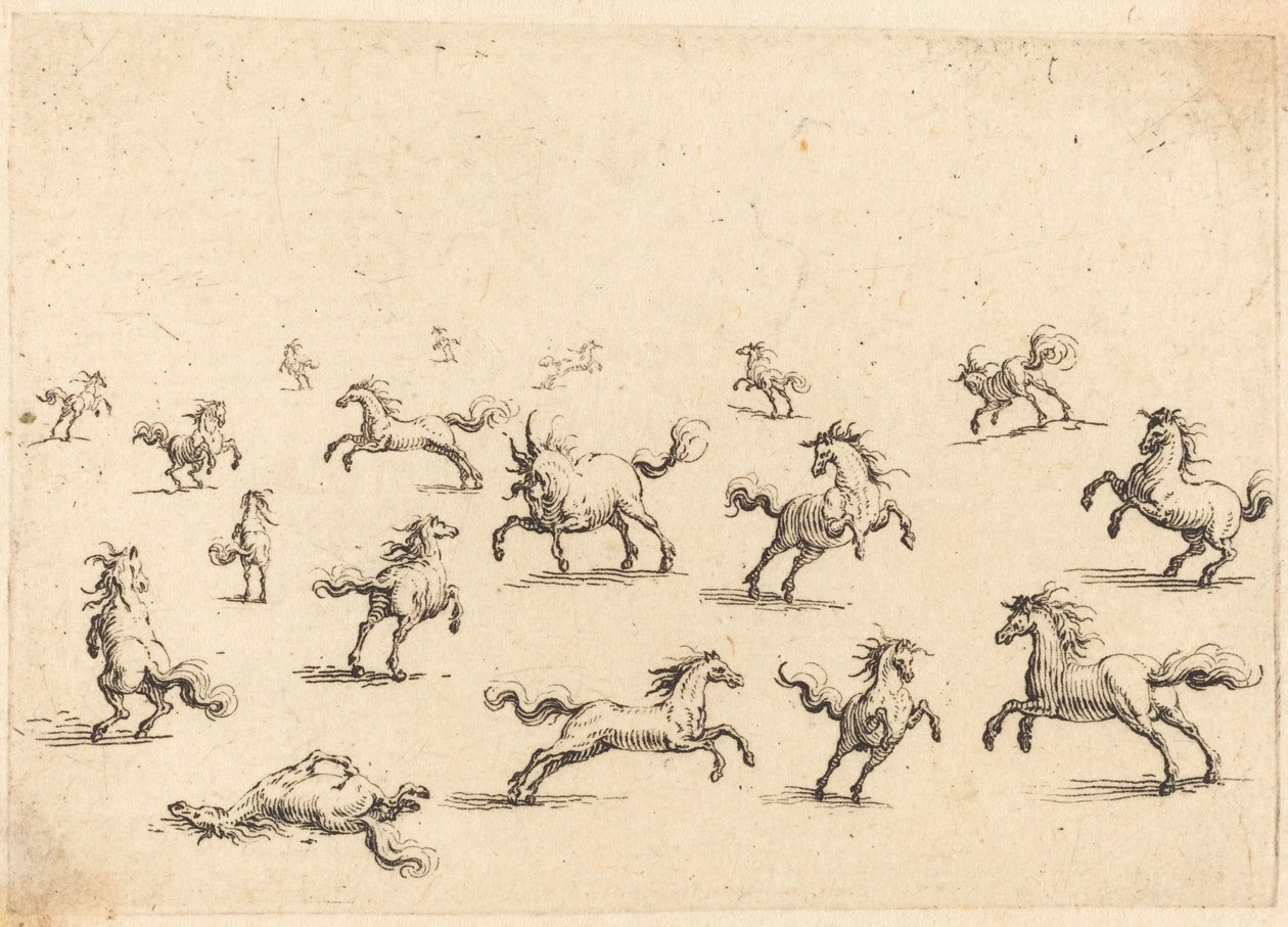 Chevaux courant - Jacques Callot