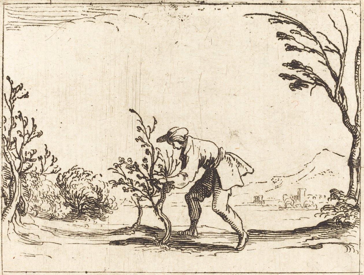 Homme coupant un baumier - Jacques Callot