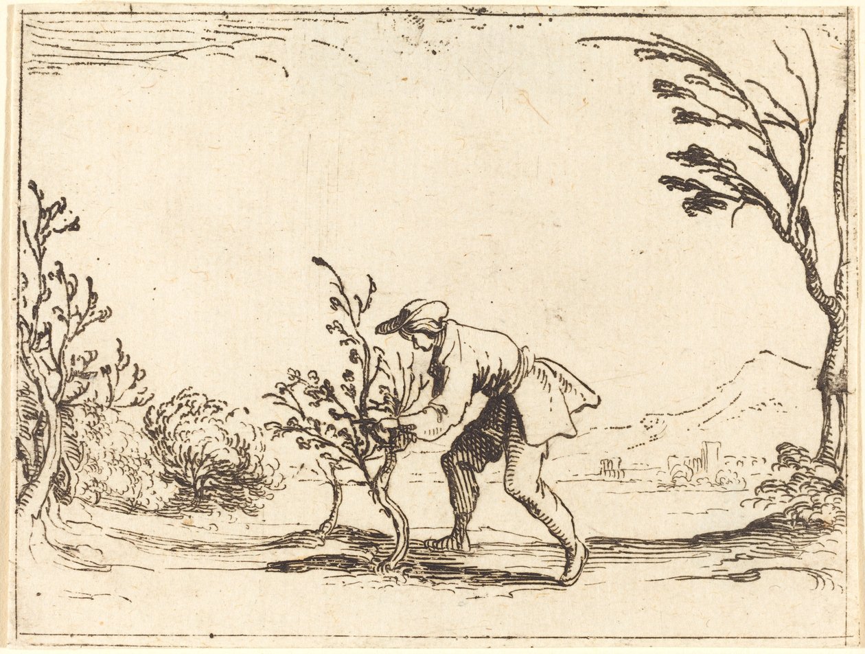 Homme coupant un arbre à baume - Jacques Callot