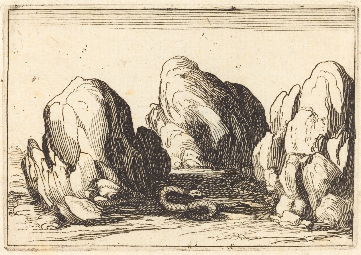Serpent, 1628 - Jacques Callot
