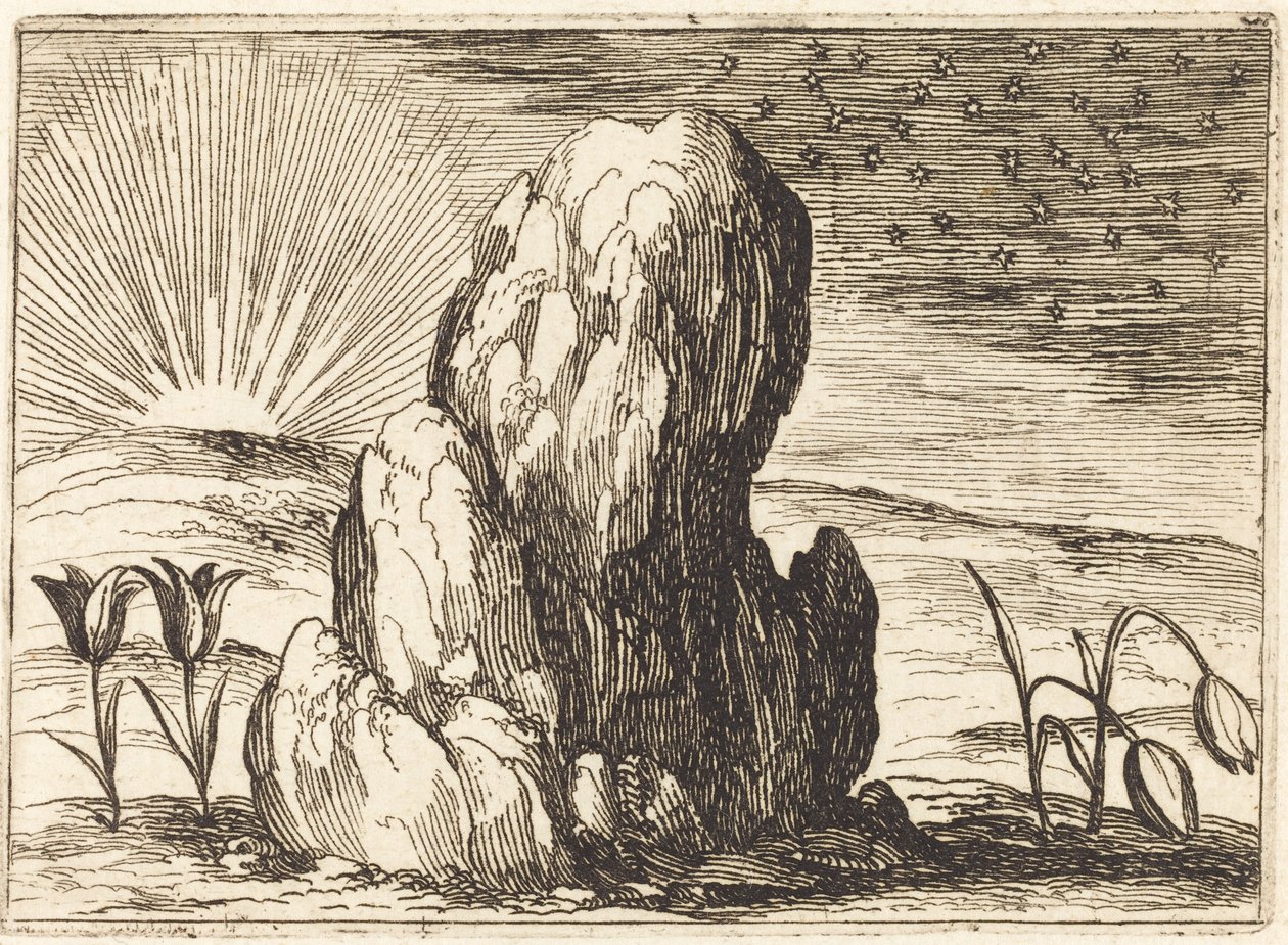 Les Tulipes et le Soleil (1628) - Jacques Callot