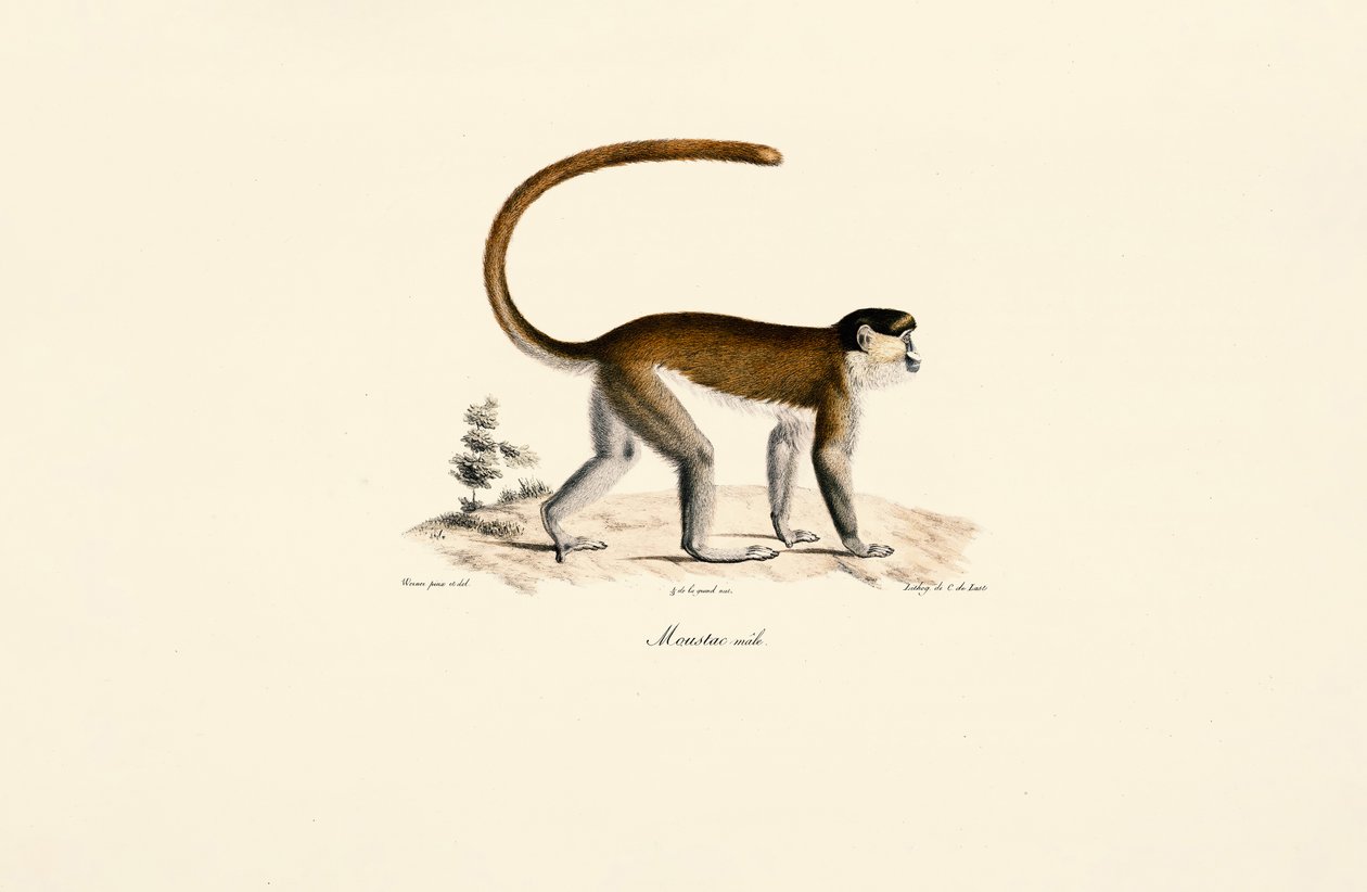  - Jacques Christophe Werner