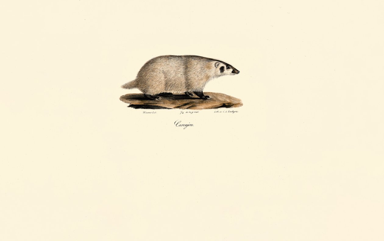  - Jacques Christophe Werner