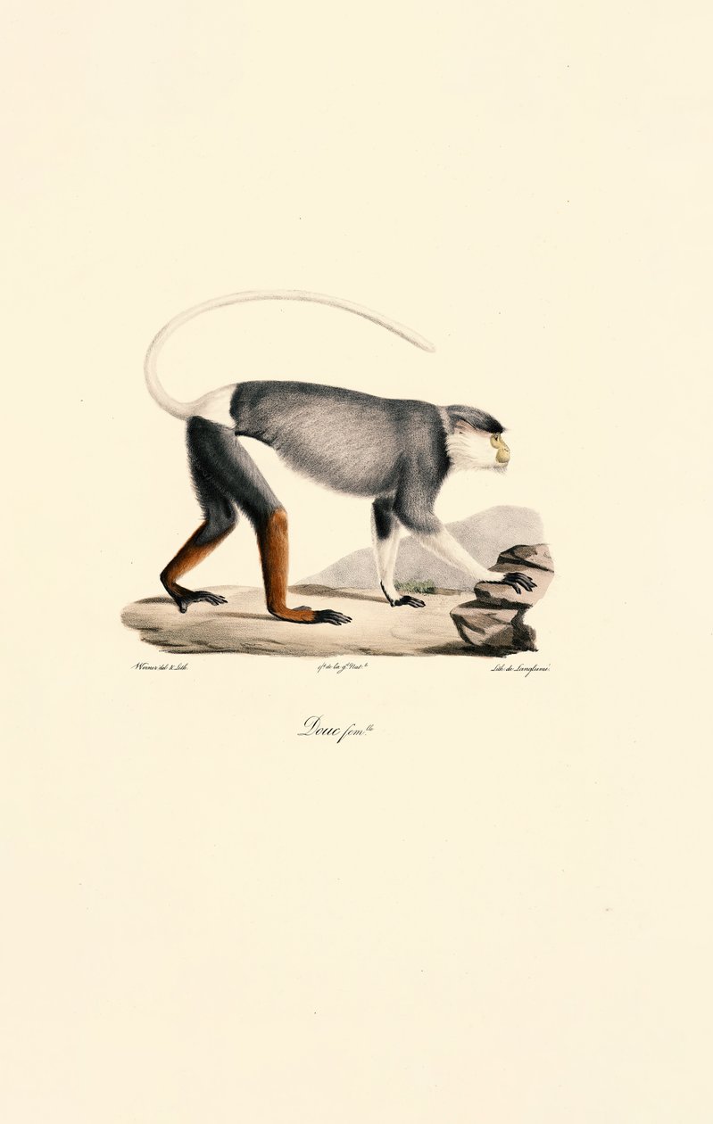 - Jacques Christophe Werner