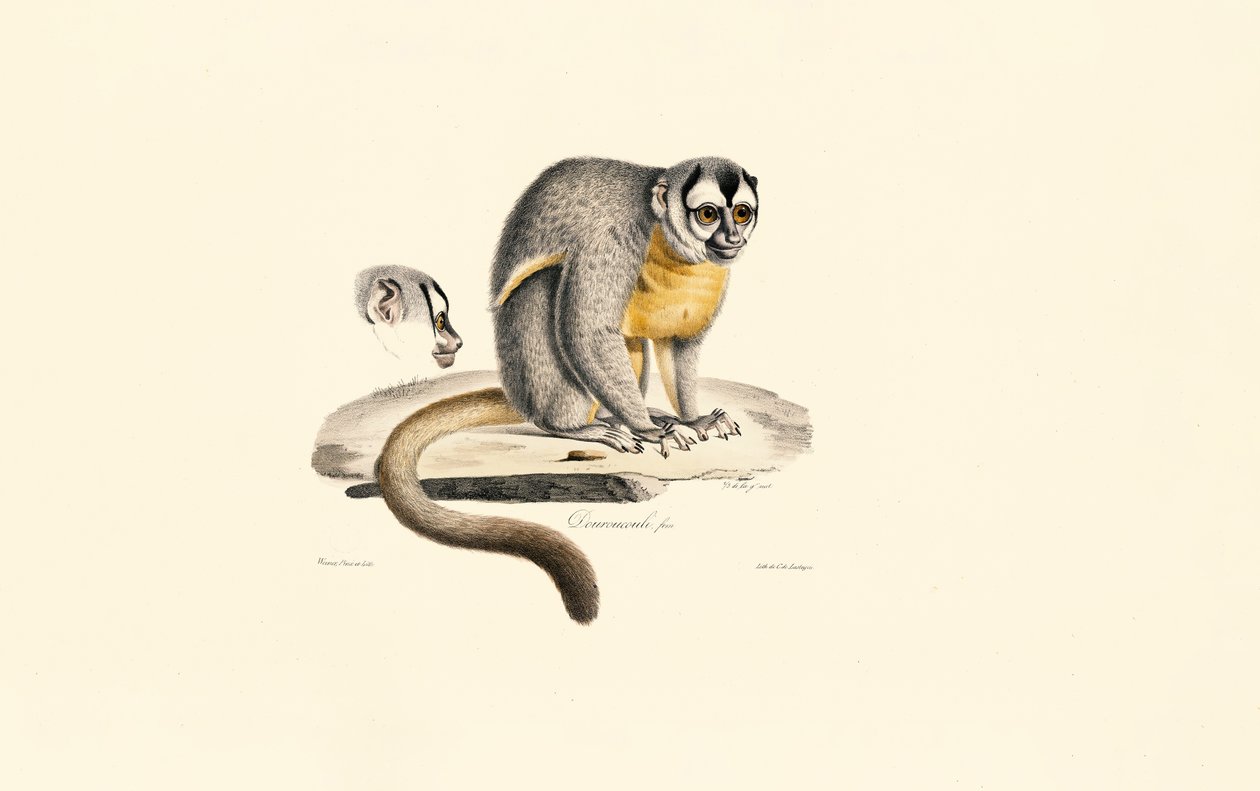  - Jacques Christophe Werner