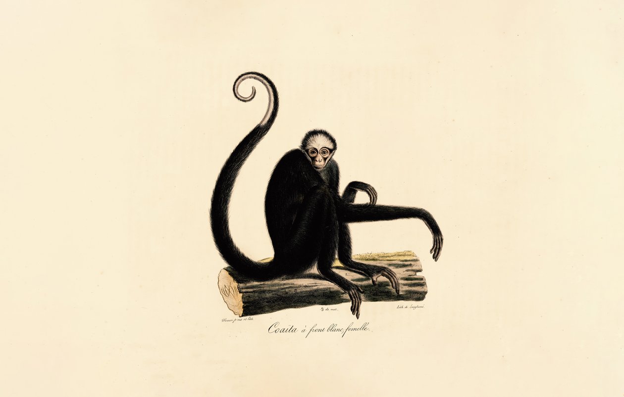  - Jacques Christophe Werner
