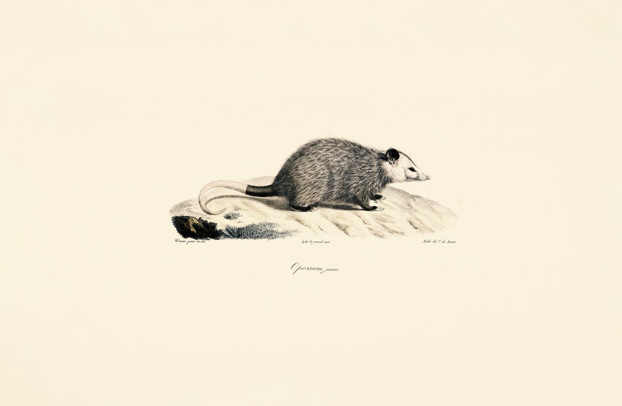  - Jacques Christophe Werner