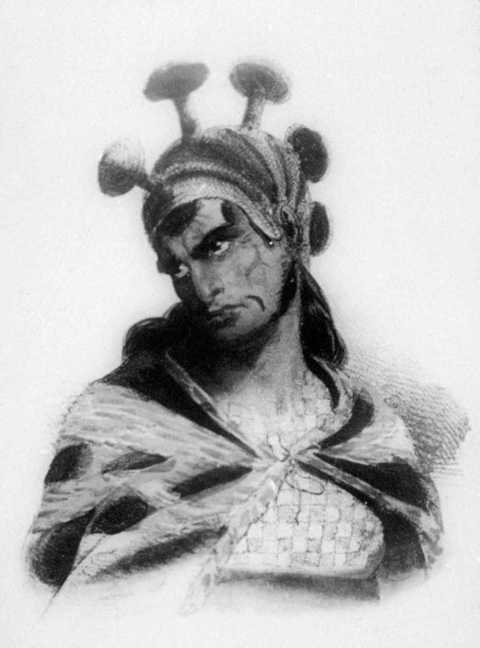 Guerrier hawaïen portant un casque avec une crête ornée de champignons - Jacques Etienne Victor Arago