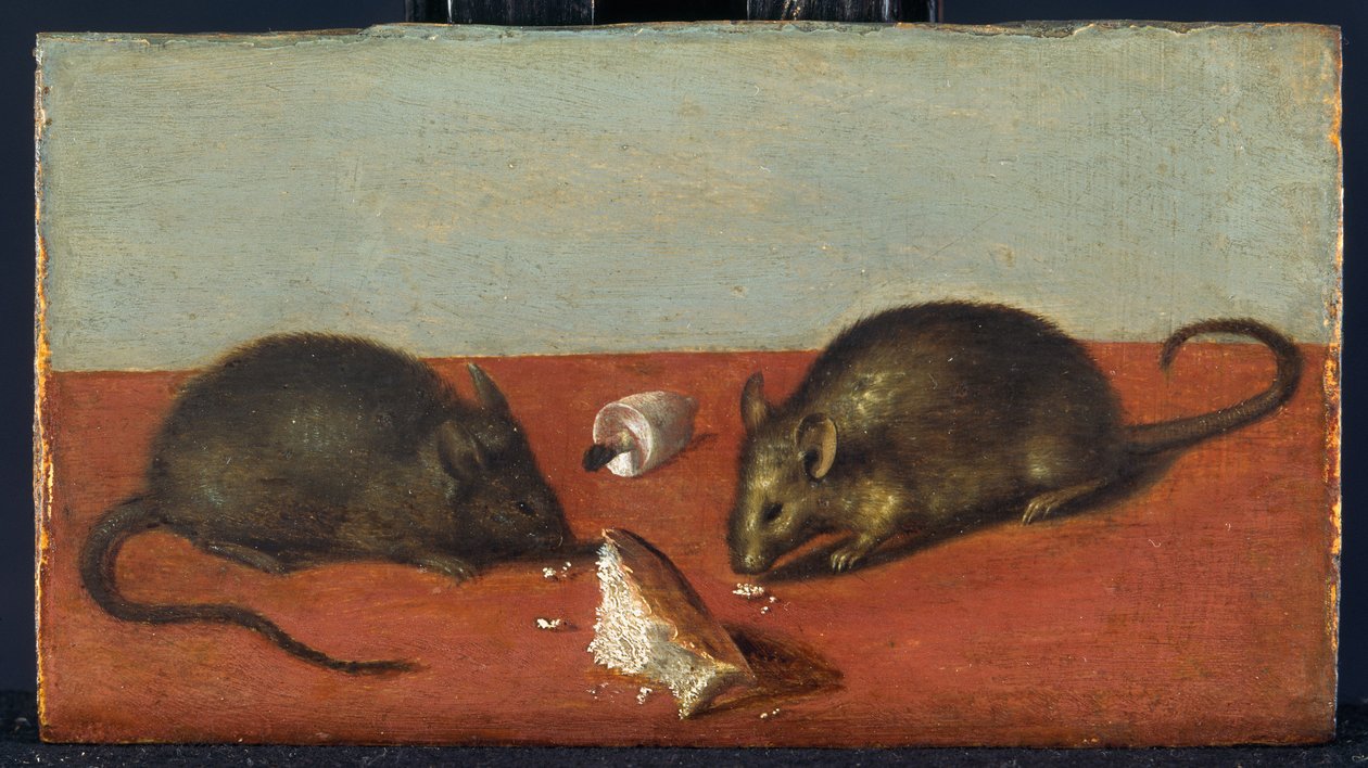 Souris, vers 1600 (huile sur bois de chêne) - Jacques II de Gheyn
