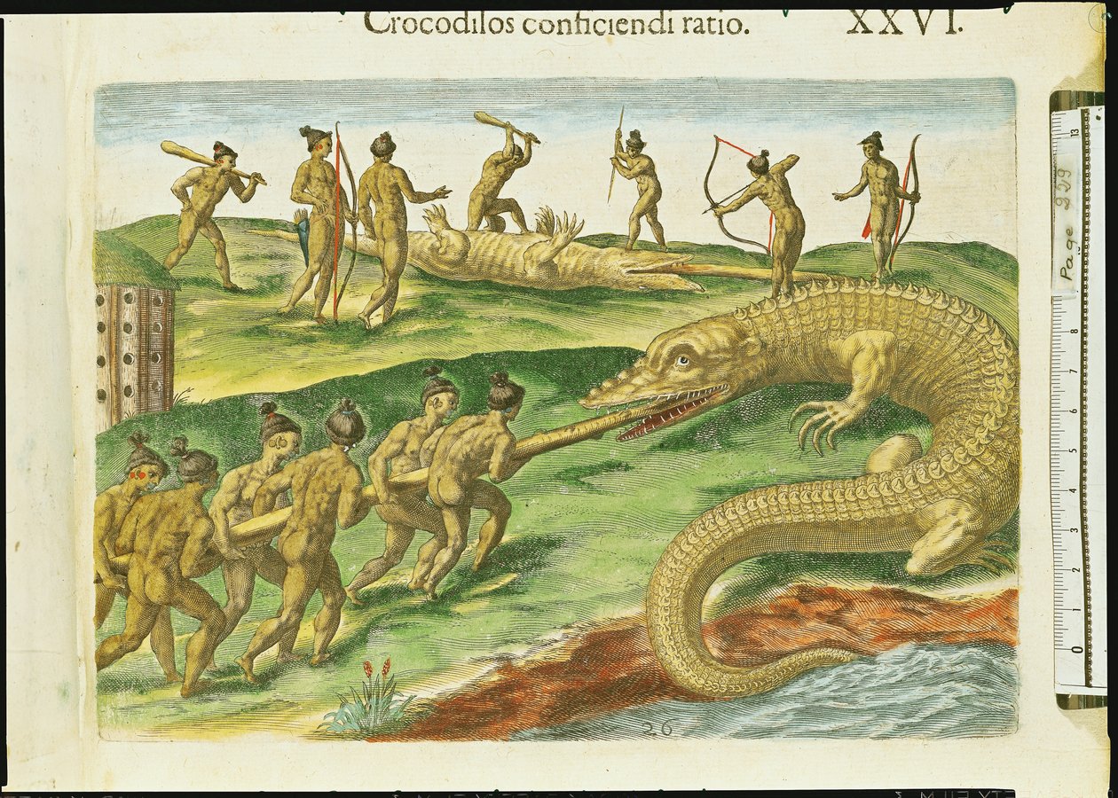 Chasse aux Crocodiles, de 