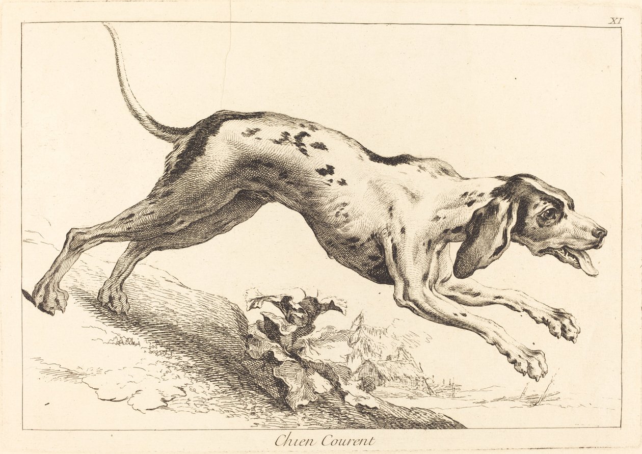 Chien courant - Jacques Philippe Le Bas and Jean Eric Rehn after Jean Baptiste Oudry