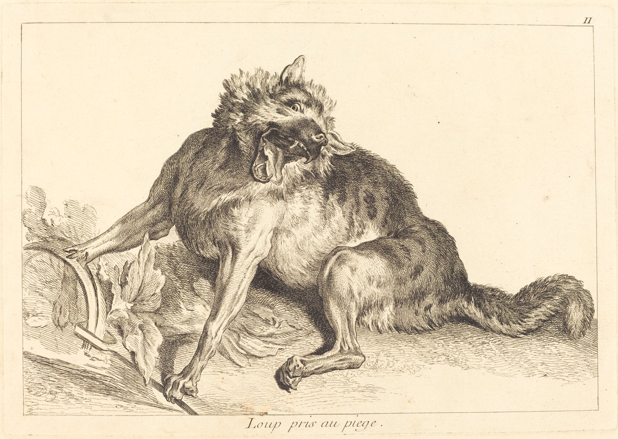 Loup pris au piège - Jacques Philippe Le Bas and Jean Eric Rehn after Jean Baptiste Oudry