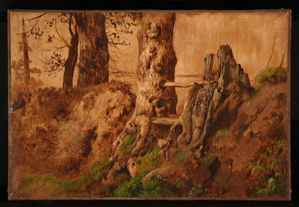 Arbres et rochers - Jacques Raymond Brascassat
