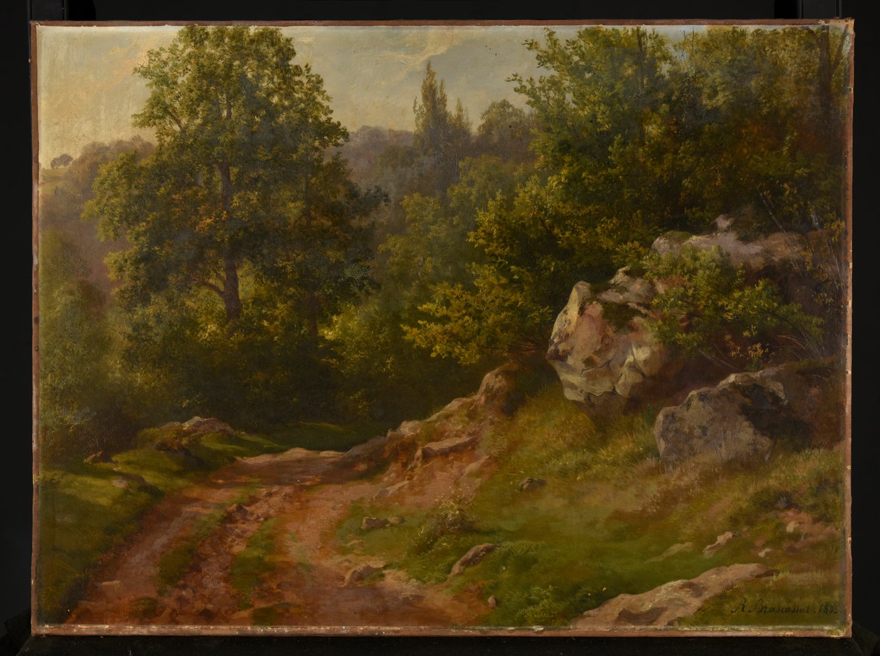 Paysage forestier - Jacques Raymond Brascassat