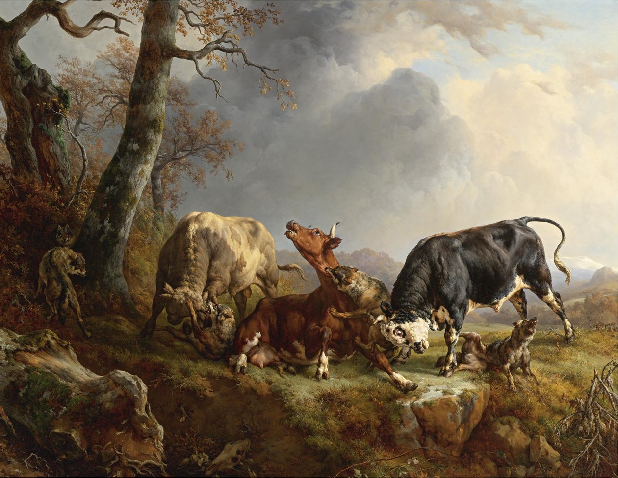 Deux taureaux défendant une vache attaquée par des loups - Jacques Raymond Brascassat