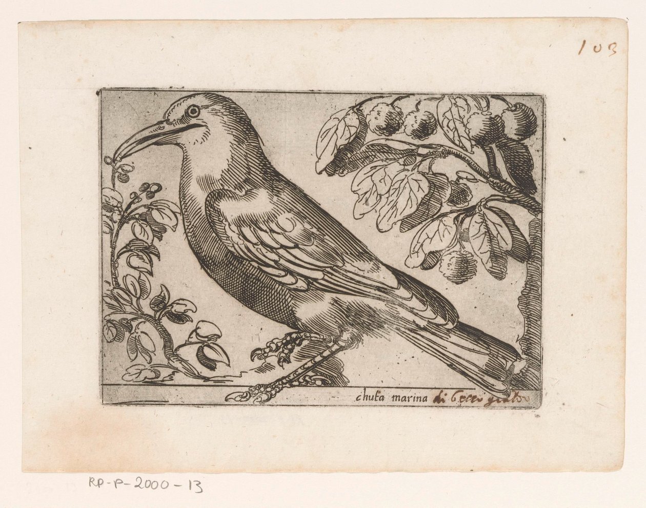 Oiseau - Jacques de Fornazeris (possibly)