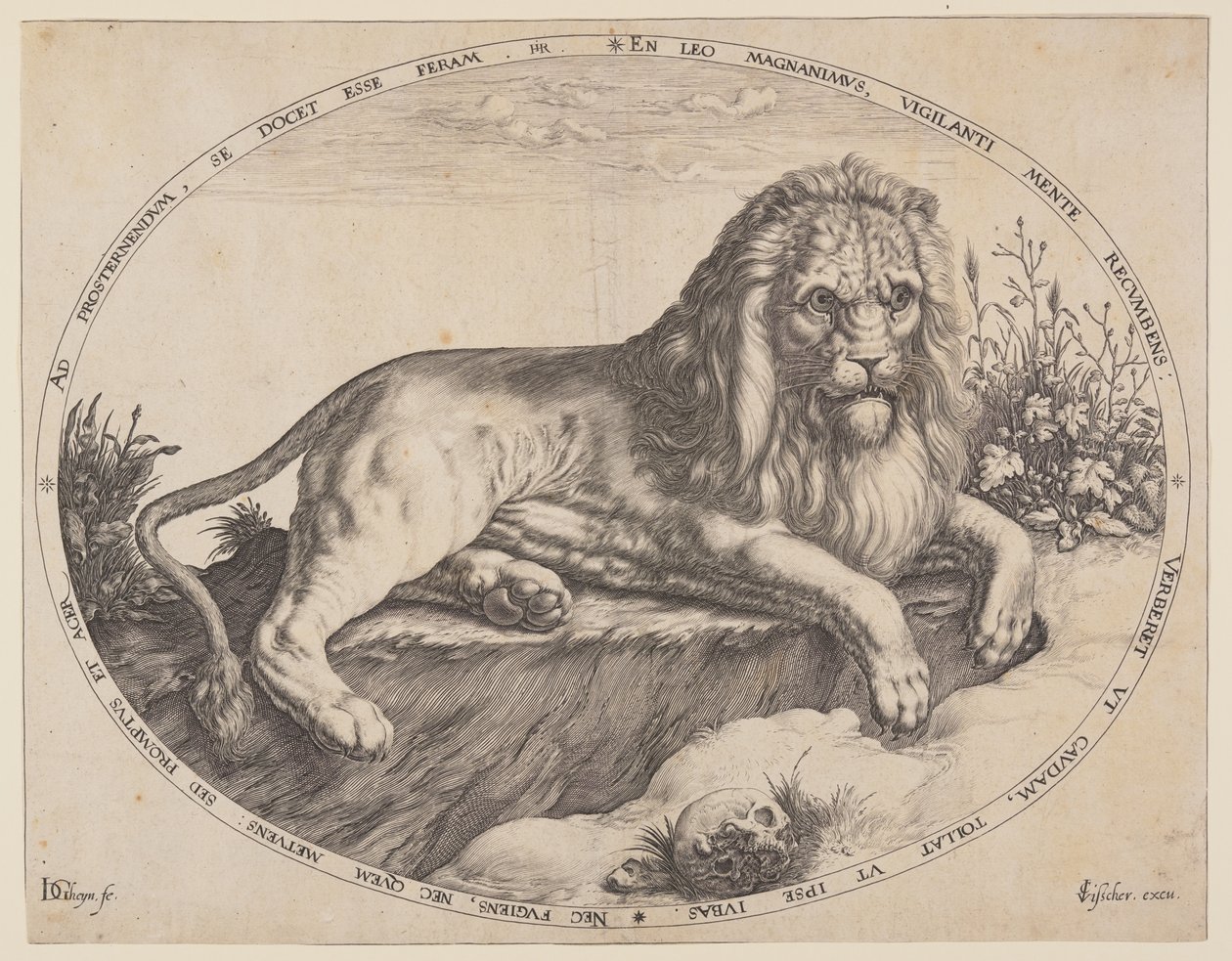 Den Grooten Leeuw (Le grand lion). - Jacques de Gheyn II