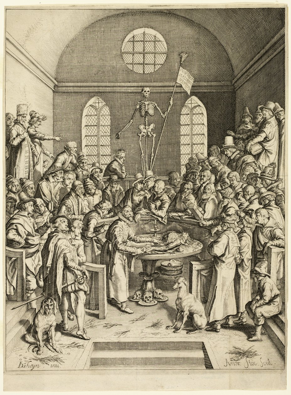 La leçon d