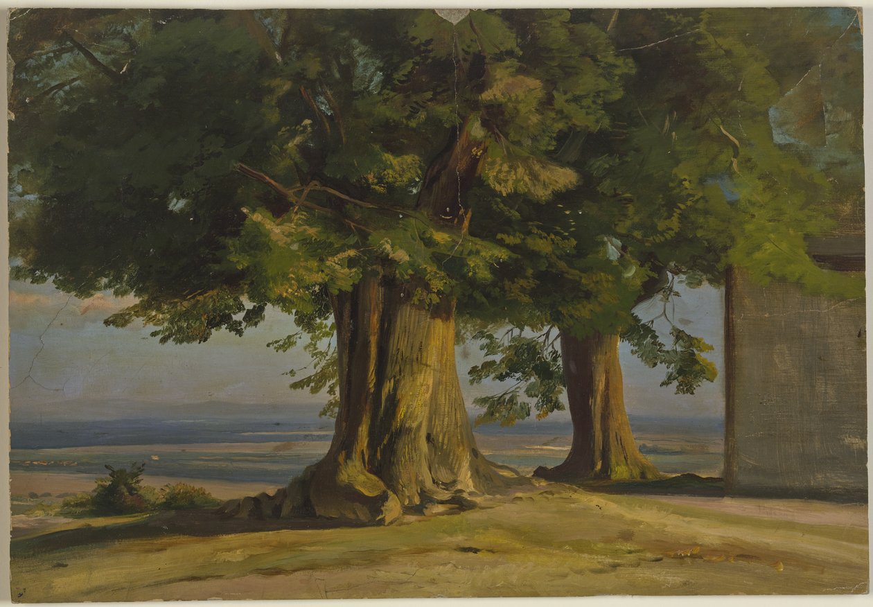 Vieux arbres et vue sur une vaste plaine - Jakob Becker