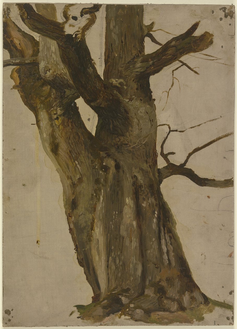 Arbre creux - Jakob Becker