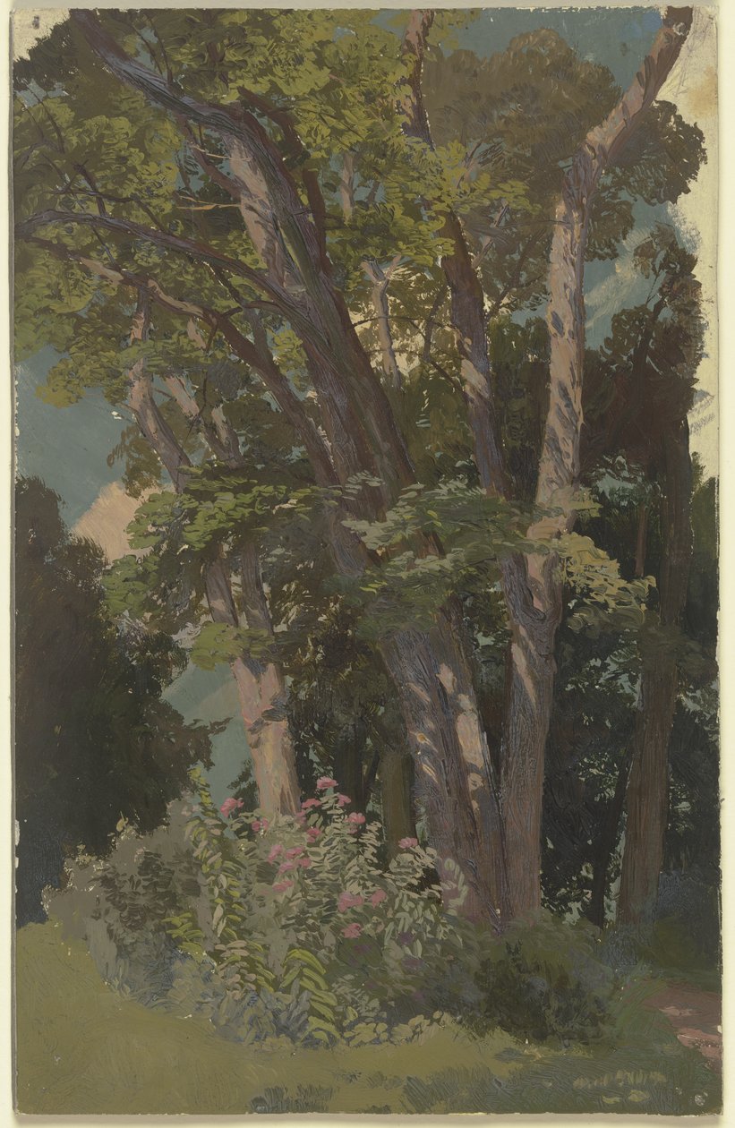 Étude de parc, clairière - Jakob Becker