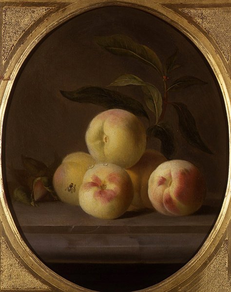Nature morte de fruits avec une mouche - Jakob Bogdani or Bogdany