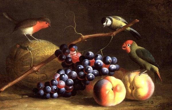 Trois oiseaux avec pêches, raisins et un melon - Jakob Bogdani or Bogdany