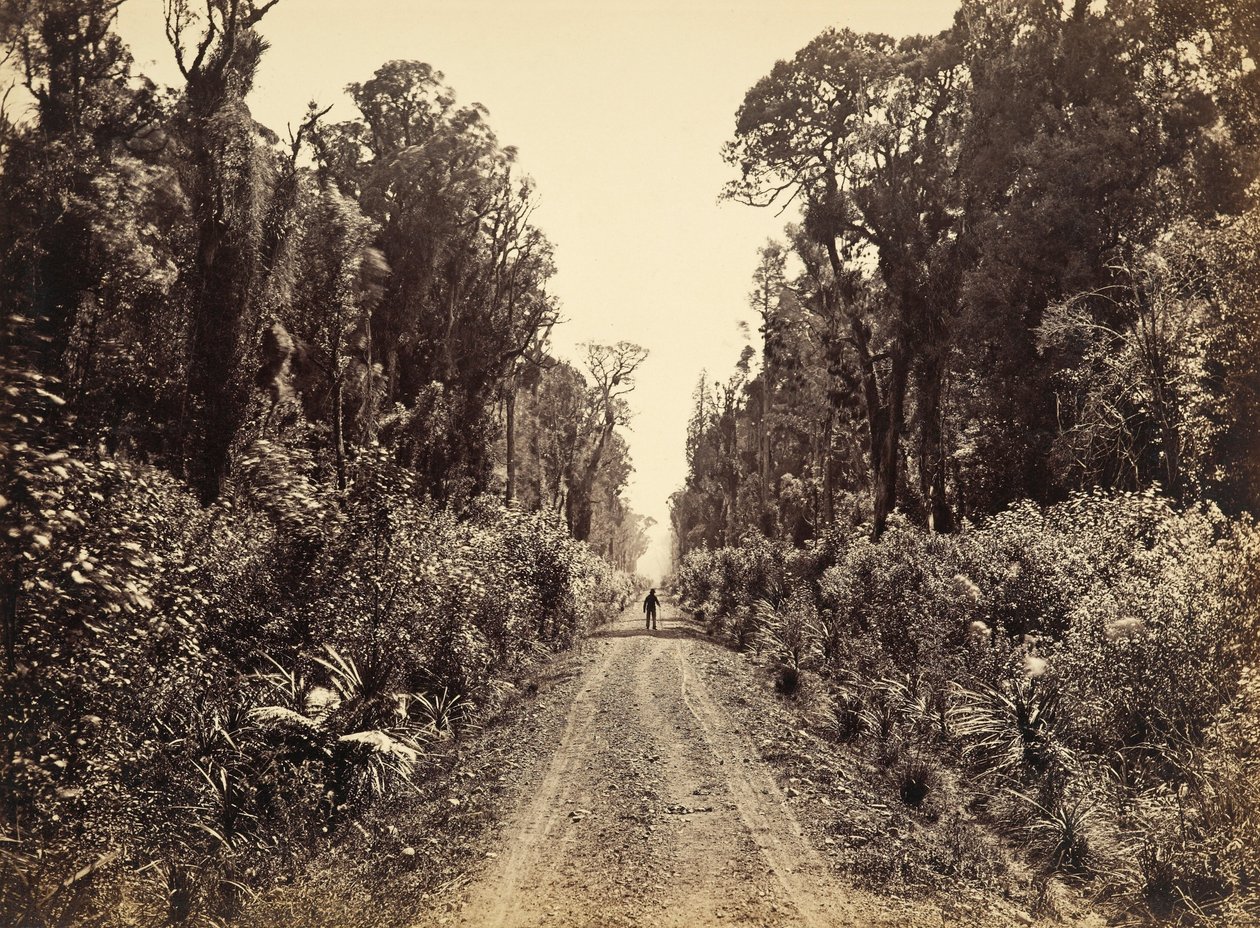 Avenue de Cinq Miles, Forêt de Quarante Miles - James Bragge