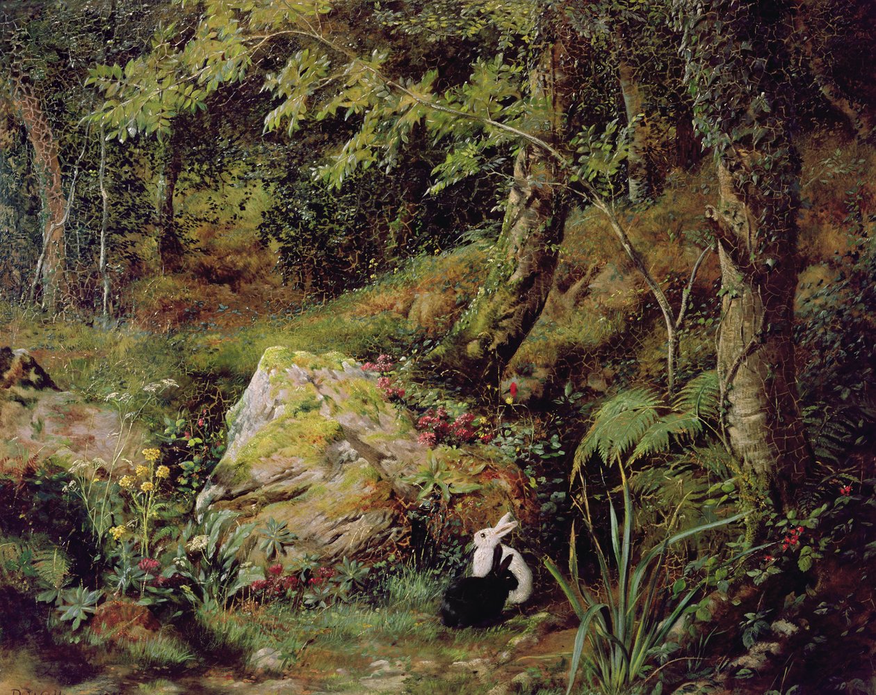 Lapins errants - James Collinson