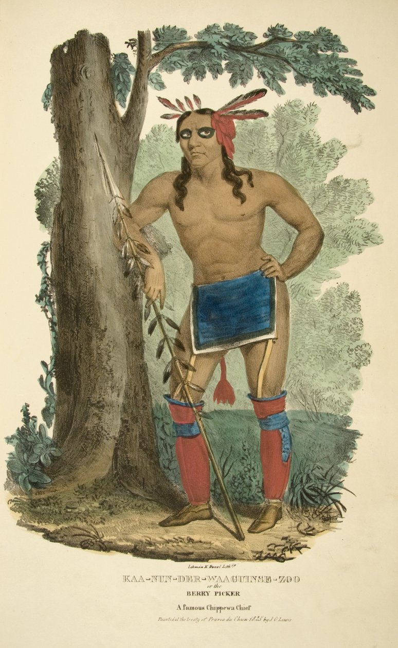 Kaa-nun-der-waaguinse-zoo ou le Cueilleur de Baies - James Otto Lewis