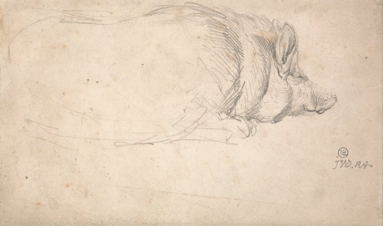 Un cochon, dormant - James Ward