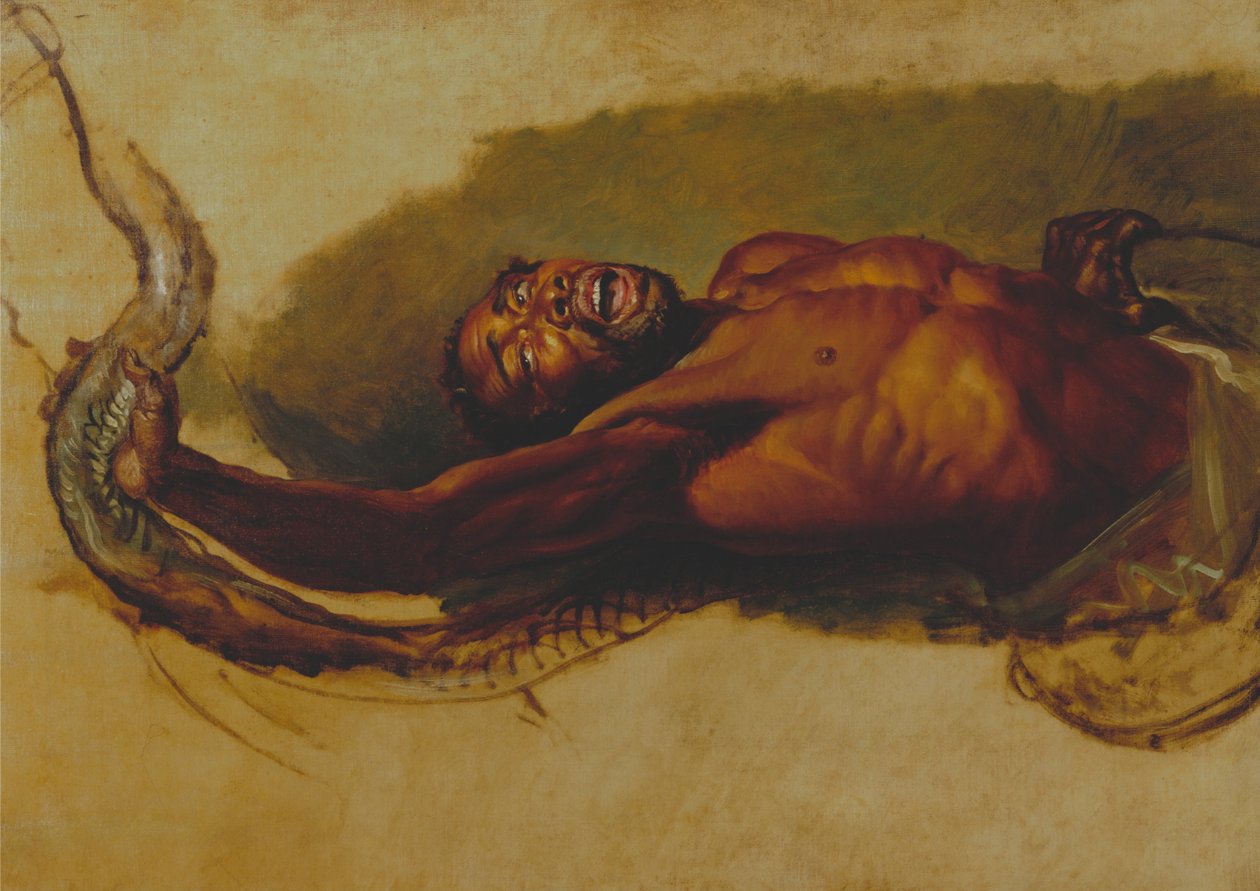 Homme luttant avec un boa constrictor, étude pour Liboya Serpent saisissant sa proie - James Ward
