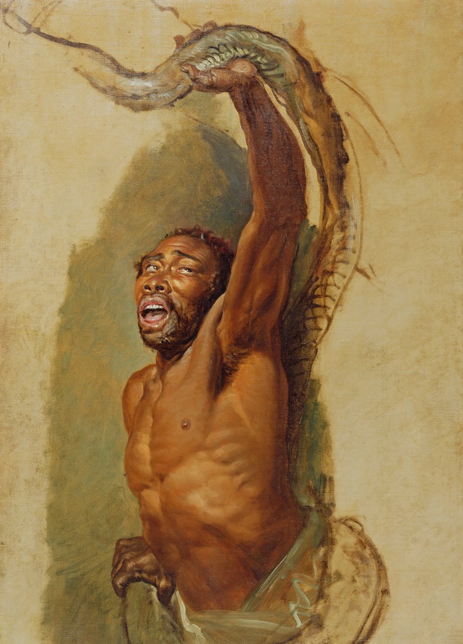 Homme luttant avec un boa constrictor, étude pour 