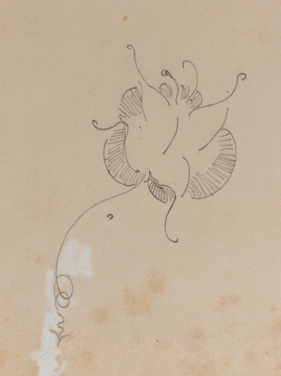 Le papillon de Whistler, 1886 - James Abbott McNeill Whistler