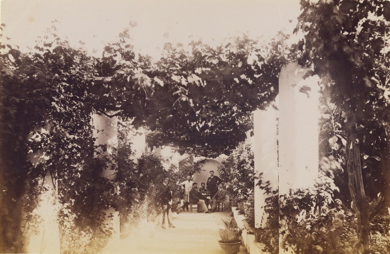 Jardin - Capri - James Anderson