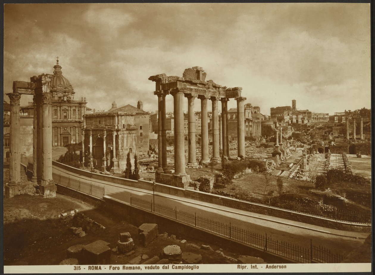 Le Forum romain, vu de la capitale - James Anderson