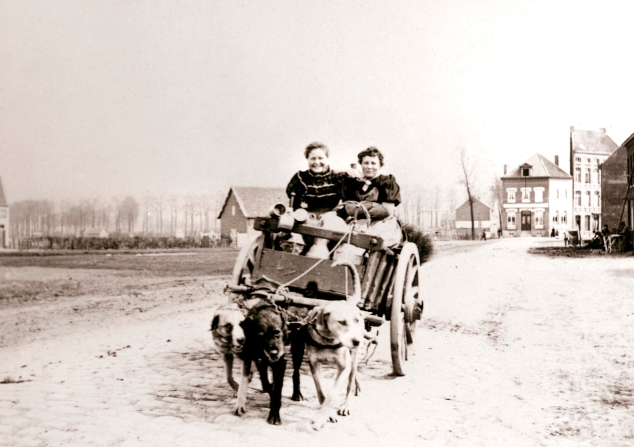 Chiens tirant des femmes sur une charrette, Anvers, 1898 - James Batkin