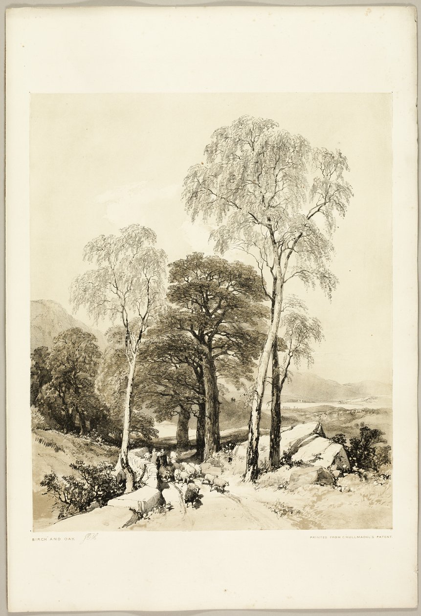 Bouleau et chêne, du parc et de la forêt - James Duffield Harding