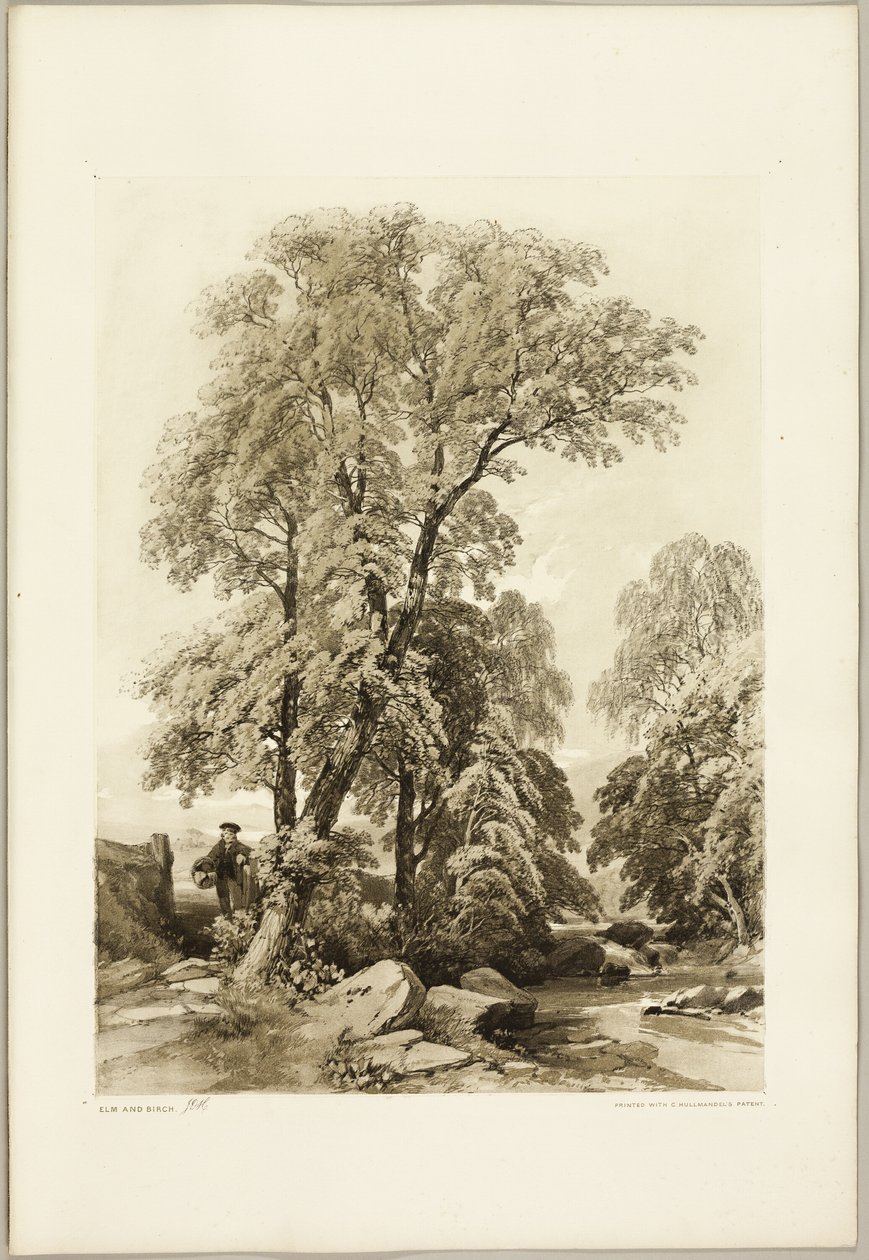 Orme et bouleau, du Parc et la Forêt - James Duffield Harding