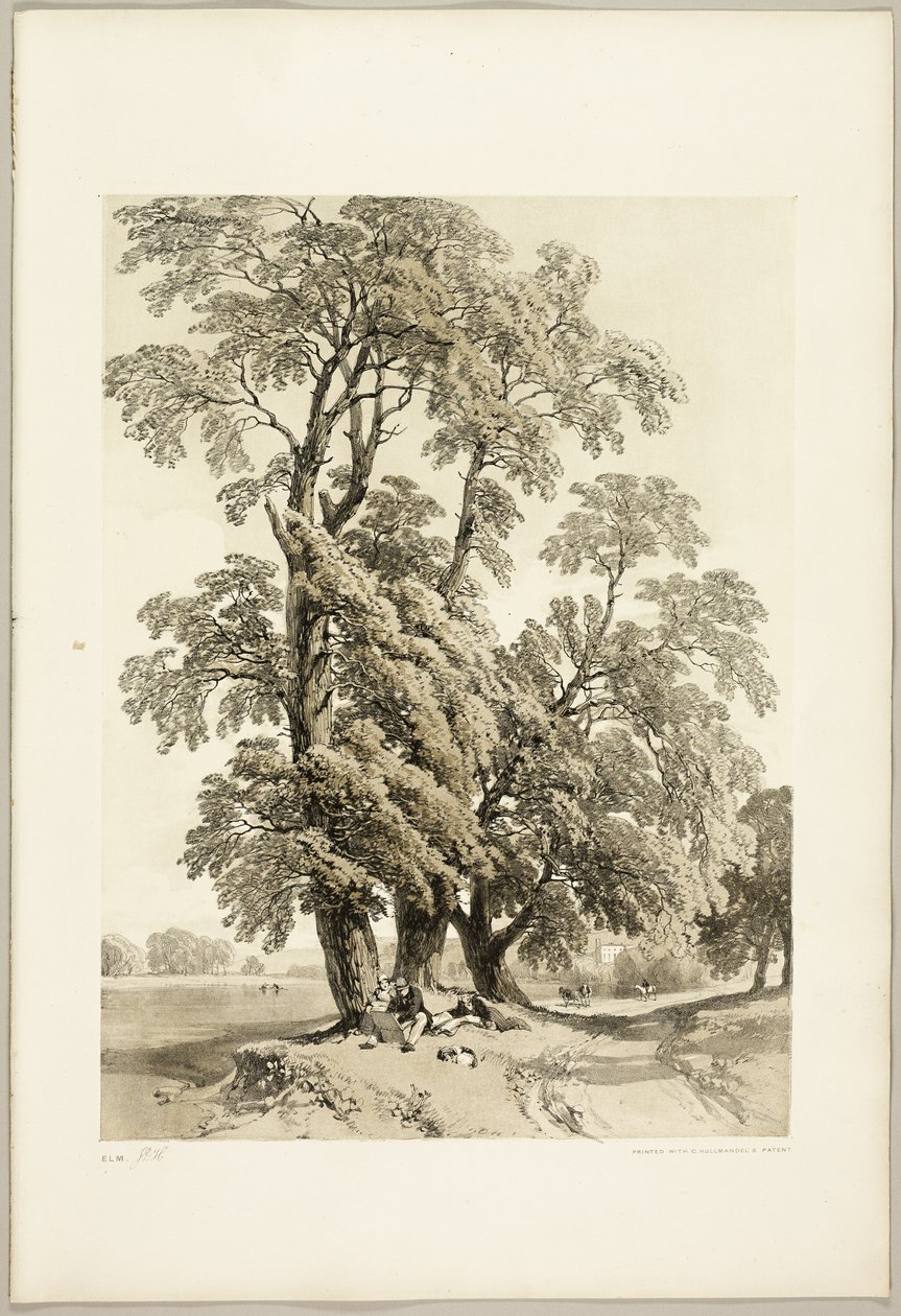 Orme, du Parc et la Forêt - James Duffield Harding