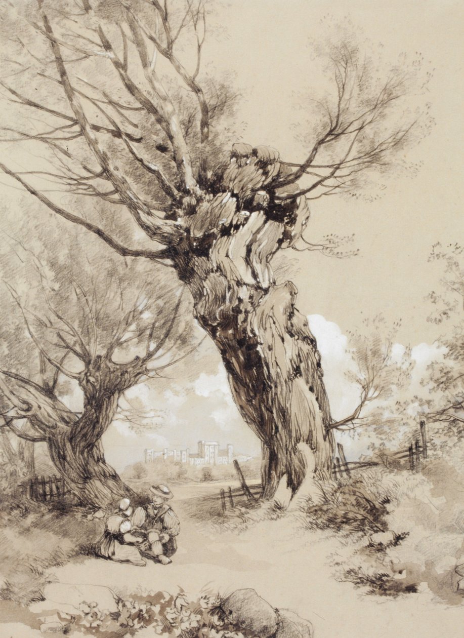 Paysage avec des personnages sous des arbres étêtés - James Duffield Harding
