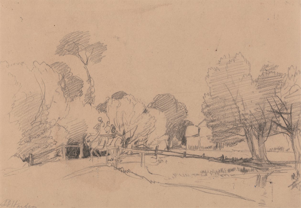 Saules près d